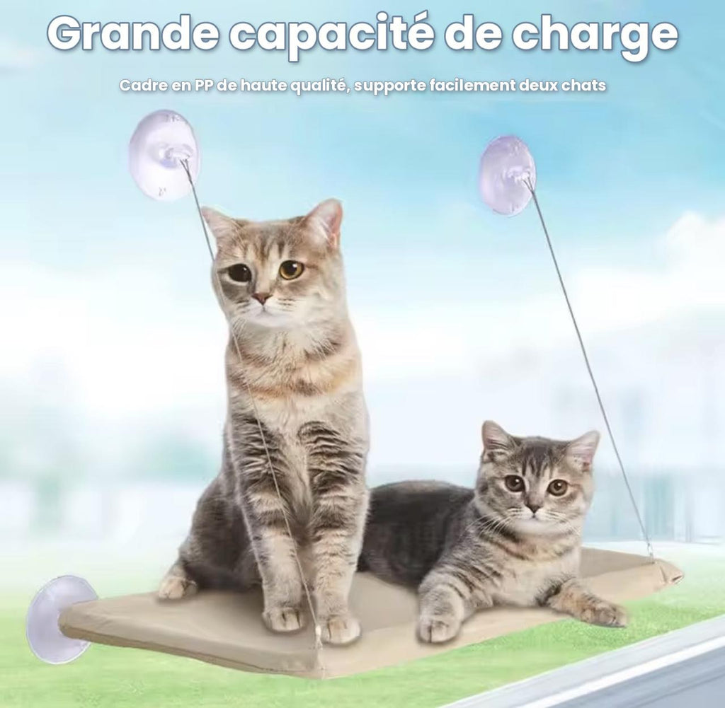 Hamac de fenêtre à ventouses pour chat – photo 7