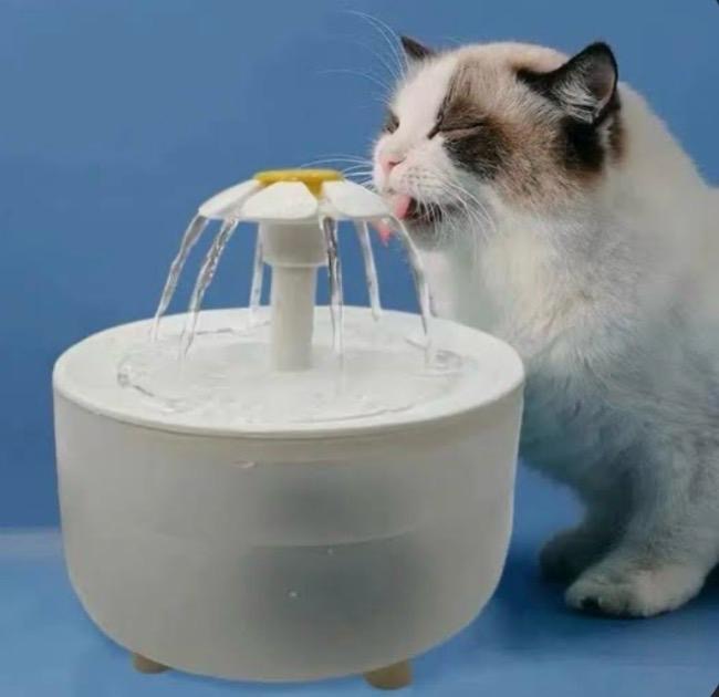 Fontaine à eau filtrante silencieuse pour chat 1,2 L – photo 7